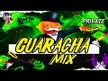 SUPER GUARACHA MIX 2025 VOL 2 Rafamister Guaracha
