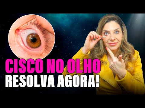 Cisco on the Lookout - Solve Now