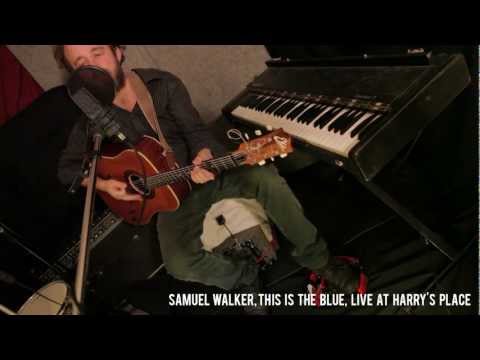 Sam Walker - This is the Blue