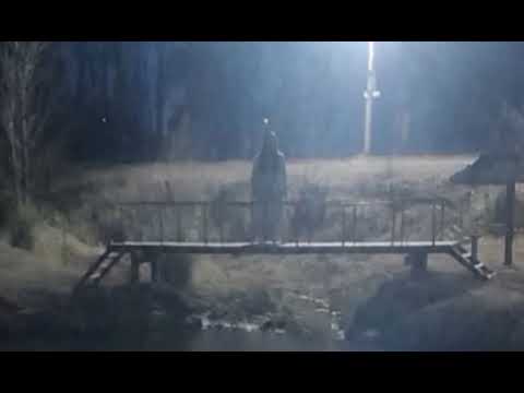 ¿Apareció La Llorona en General Alvear? El misterioso relato que sacude las redes