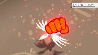 ドクロッグのきあいパンチ連打でエアームドたおします