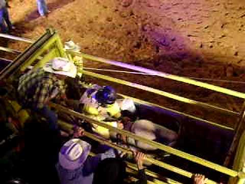 Célio Jr x Pesadelo da Cia É o Bicho!