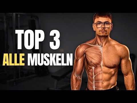 TOP 3 exercises for ALL muscles!