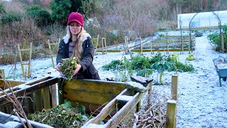The Garden in January — A Wintery Garden Visit and Garden Jobs for January