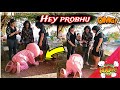 Hey Prabhu Hey Jagannath Hey Prabhu Hey Prabhu Hey Jagannath Meme