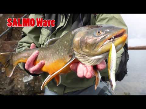 Salmo Wave 7cm 14g LTB S