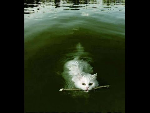 MiNiMAL SET 06-06-2015 aka. SCHWiMMEN IM OZEAN DER LÜGEN