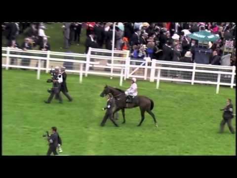 Fallen For You wins the Coronation Stakes at Royal Ascot