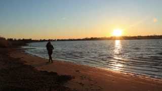 A Deep Slow Panic: AFI Video Contest Entry