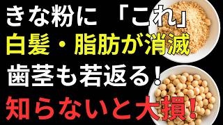 きなこの力を最大限に引き出す健康習慣｜脂肪・白髪・骨ケアを支える毎日の知恵【人生の処方箋】