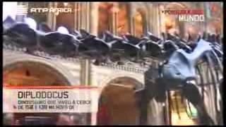 Portugueses Pelo Mundo em Londres