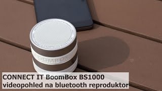 Connect IT Boom Box BS1000