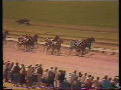 1983 Ashburton Flying Stakes: Derby