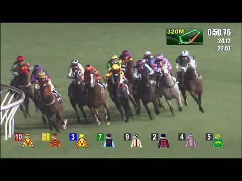 6/4/2022 (564) Jiangxi Stamina - Matthew Chadwick