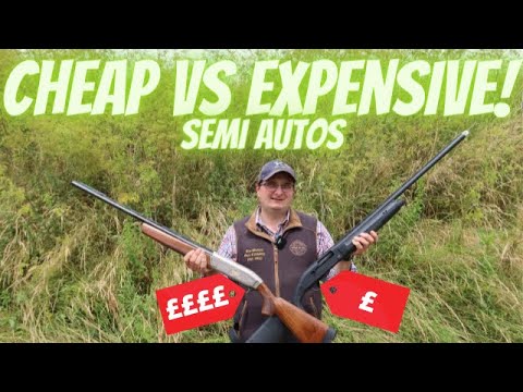 Cheap vs expensive semi auto
