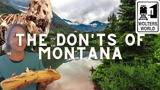 Montana: The Don