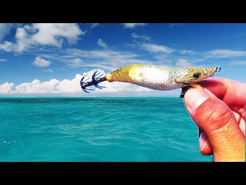 Sephia Squid Jig - FLASHER test, night squid fishing