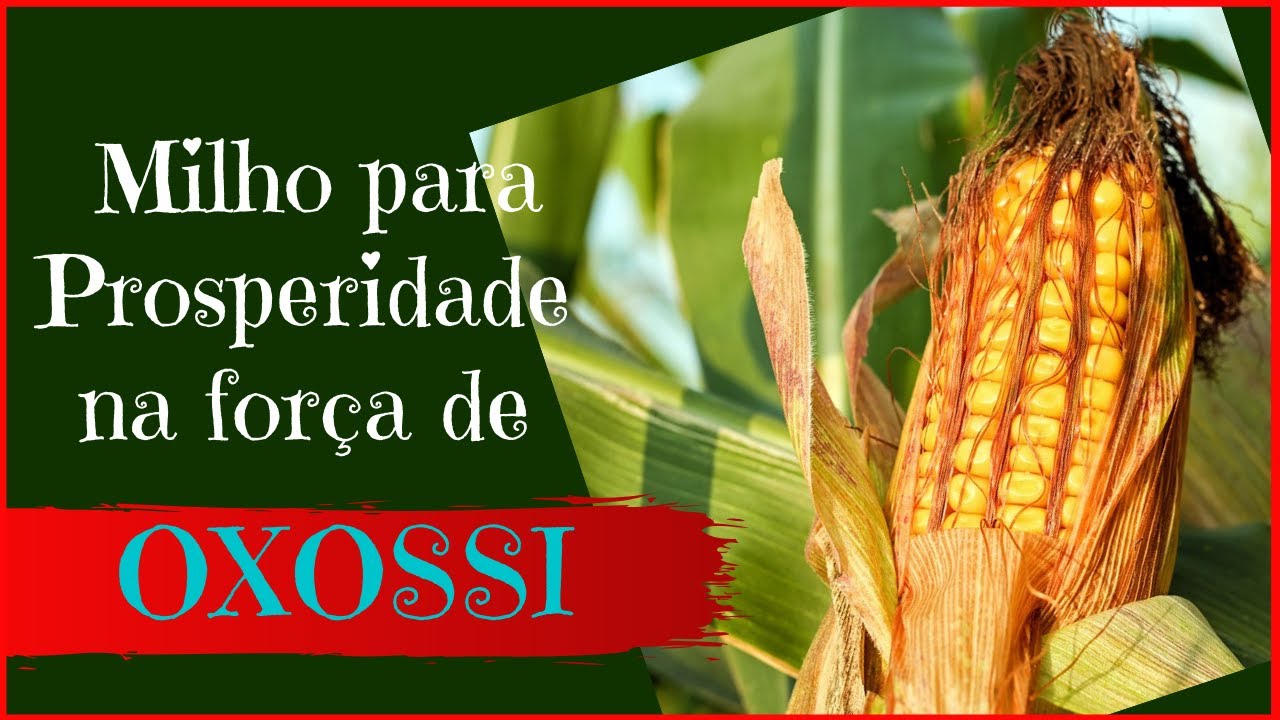 Como fazer Espiga de Milho de Oxossi para Prosperidade | FogoPrateado