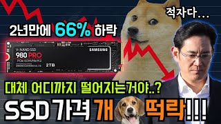 퀘이사존