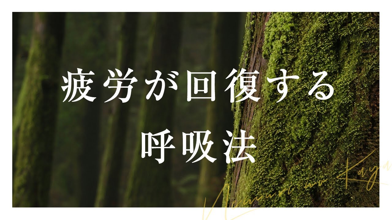 【5分】疲労回復するマインドフルネス呼吸法【朝・夜・寝る前の誘導瞑想】