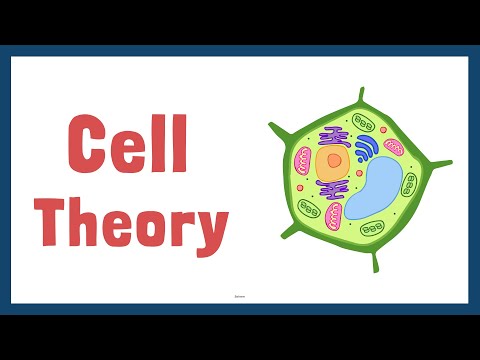 The History of Cell Theory   #cell theory #cell #microscope #history
