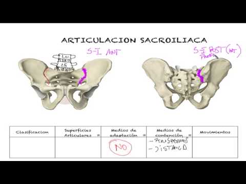 Gel para los atletas articulaciones Modica osteocondrosis 2