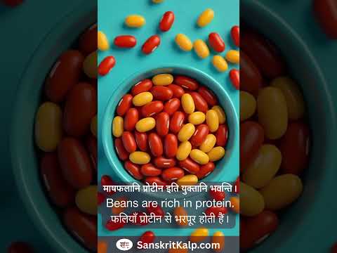 Learn Sanskrit Sentence:  माषफलानि प्रोटीन इति युक्तानि भवन्ति। | Beans are rich in protein