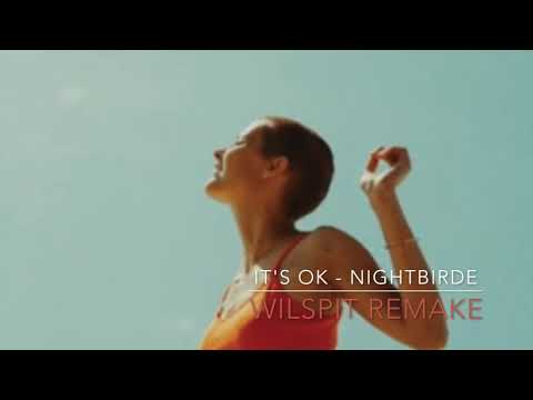 It's Ok - Nightbirde (Wonderboj remake/remix)