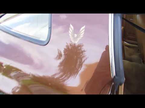 1979 Pontiac Firebird Trans Am (CC-1904521) for sale in Milford, Ohio