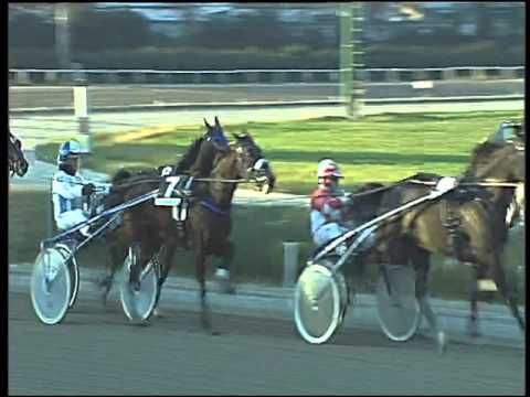 Trotto 27/12/2015 - 4° corsa