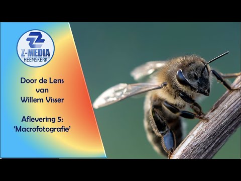 Door de Lens van Willem Visser - Aflevering 5: Macrofotografie