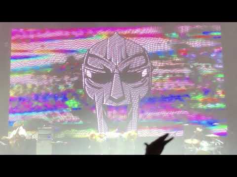 Adult Swim Festival 2019 - MF DOOM x Captain Murphy x Flying Lotus x Thundercat - Accordion