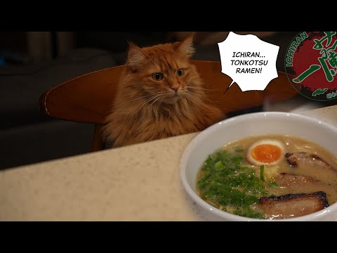 Make ICHIRAN Tonkotsu Ramen at Home! (ICHIRAN Ramen Kit)