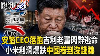 ANTA CEO Flees! Geely Chairman Resigns! Xiaomi Q2 Profits Plummet 40%—Is China's Rat Race Lea...