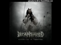 Decapitated - The Knife