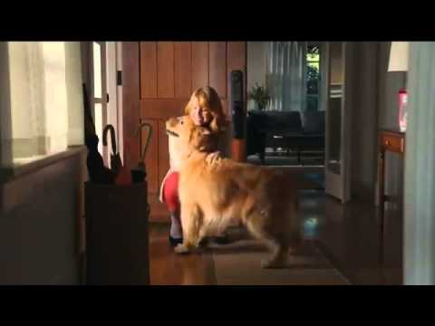 Milk Bone TV Commercial, Song by The Hunts