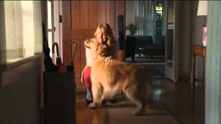 Milk Bone TV Commercial, Song by The Hunts