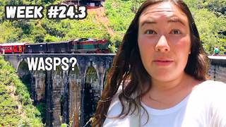 Wasp Attack at Sri Lanka's 9 Arch Bridge (World Trip Week 24 Pt. 3)