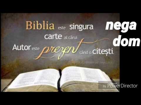 Negativ-daca duhul domnului