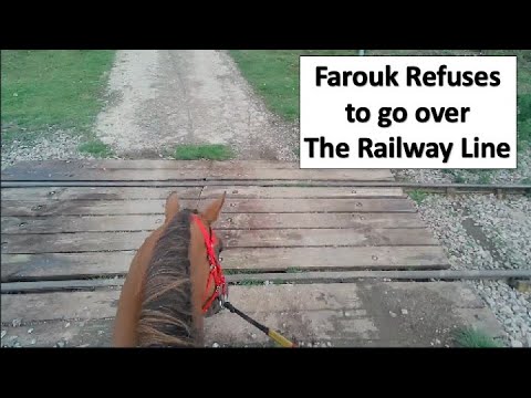 The MONSTER LINE Farouk decides its a Mouth with Big Metal Teeth. No way say's Farouk, I'll be Eaten