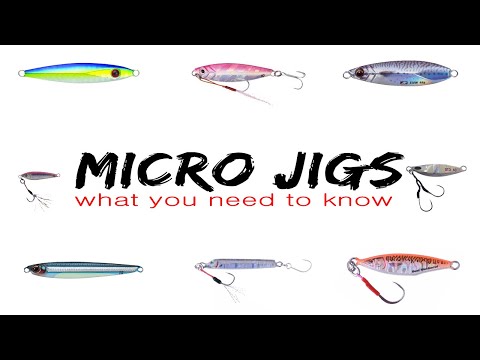 MICRO JIGS | WHAT YOU NEED TO KNOW
