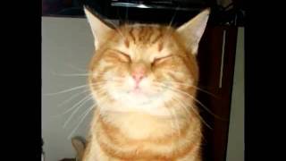 Bobby Lyle Save it for a rainy day