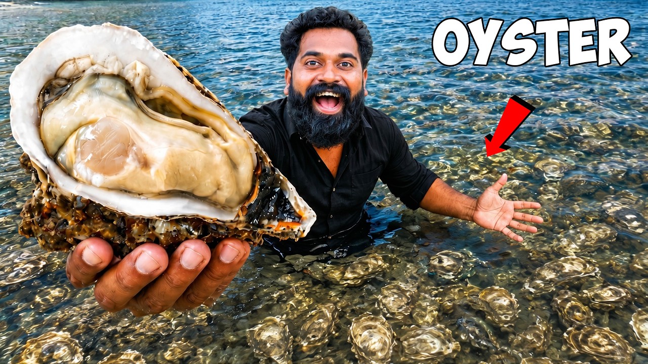 Oyster With Tapioca Kerala Style | M4 Tech |