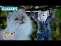Escaping The Hungry Cats Stuart Little CineStream