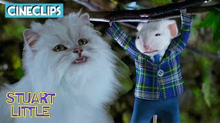 Escaping The Hungry Cats  Stuart Little  CineClips
