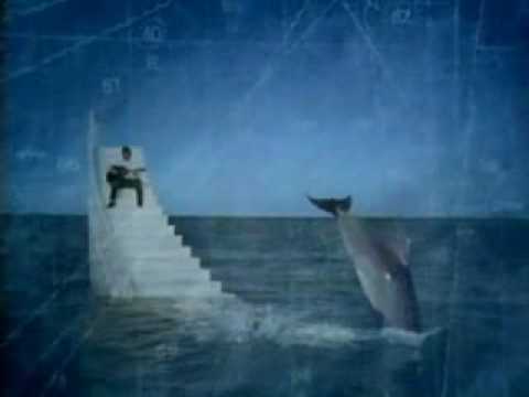 Martyn Joseph - Dolphins Make Me Cry