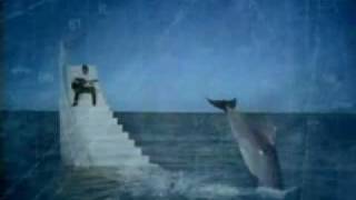 Dolphins Make Me Cry Music Video