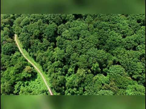 Loma ni Nodaru Vale (Makosoi Delaidevo Vol.5)