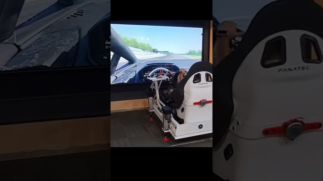 Assetto Corsa - Spin