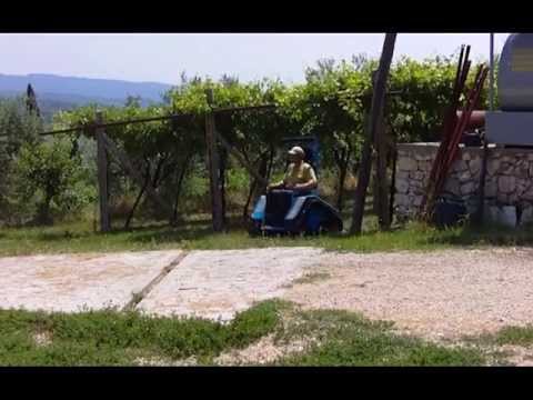 Ziesel 2013 - Ein Sommermärchen